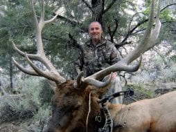 massive trophy elk lincoln county nevada