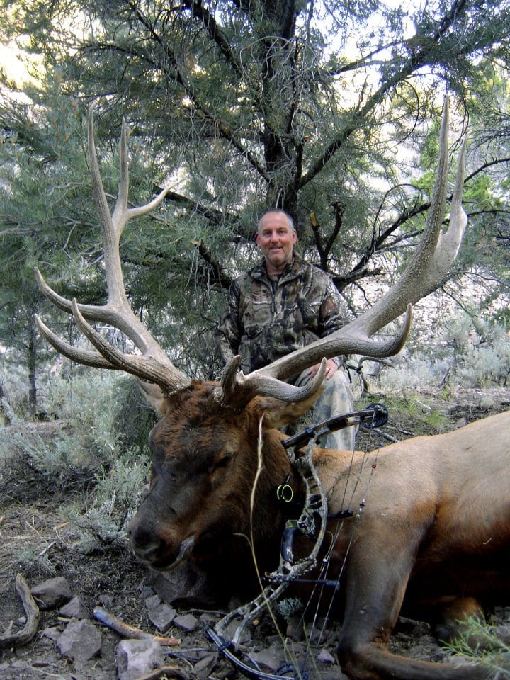 massive trophy elk lincoln county nevada