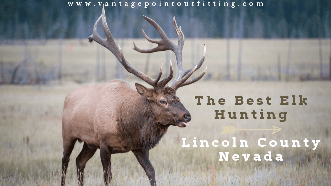 the best elk hunting