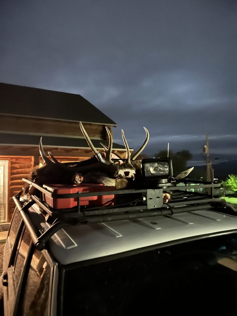 antlers on jeep