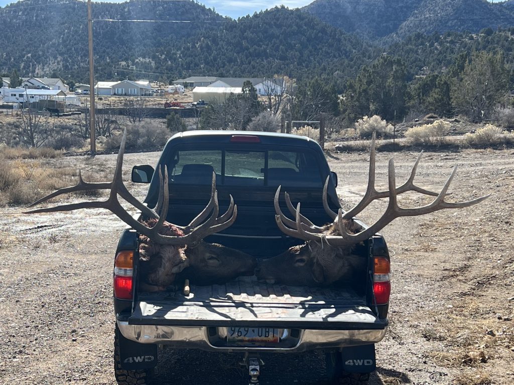 elk mounts in truck