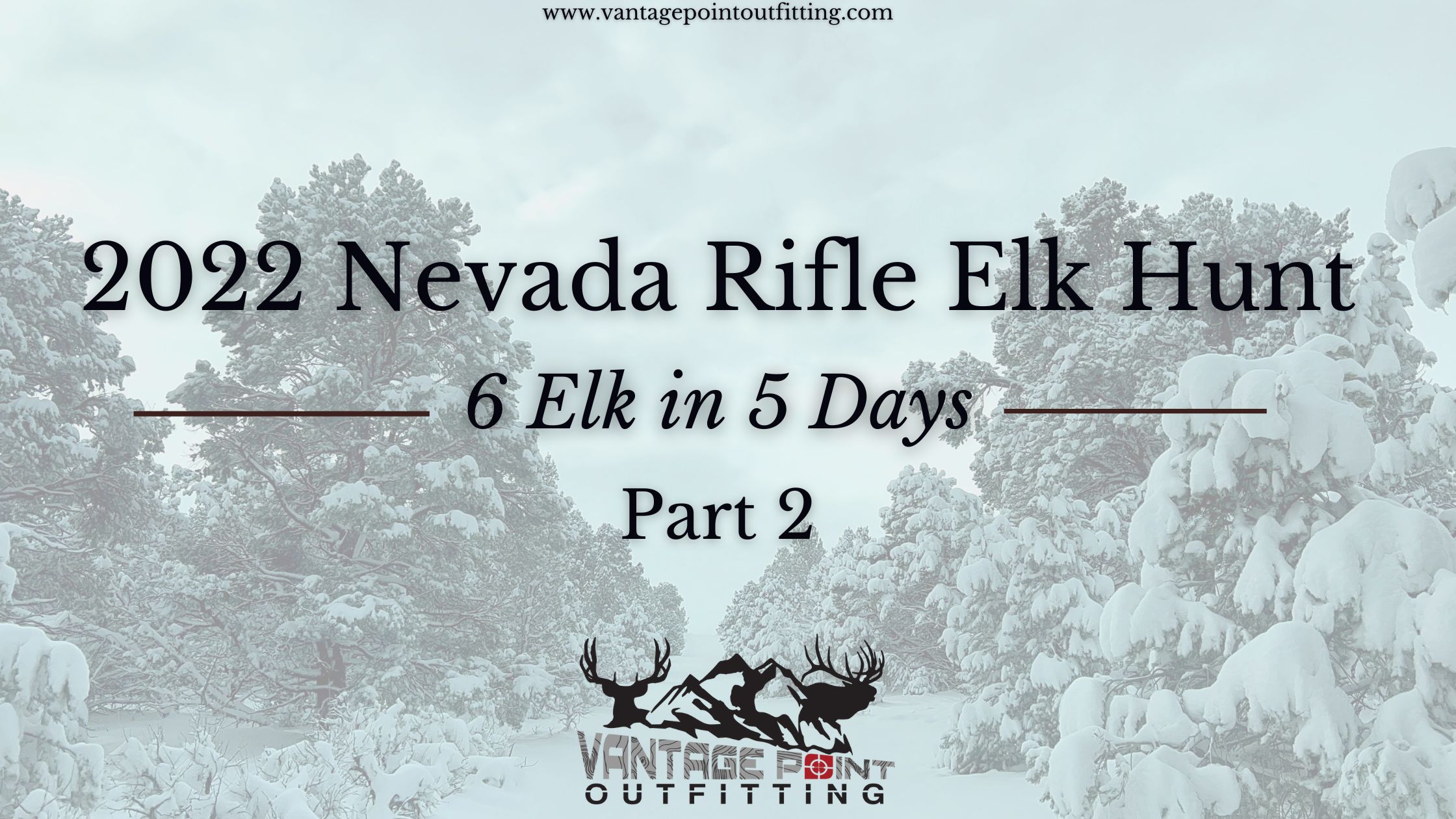 bull elk hunting