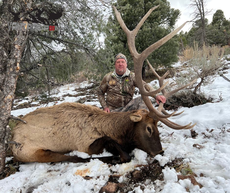 biggest bull elk hunting